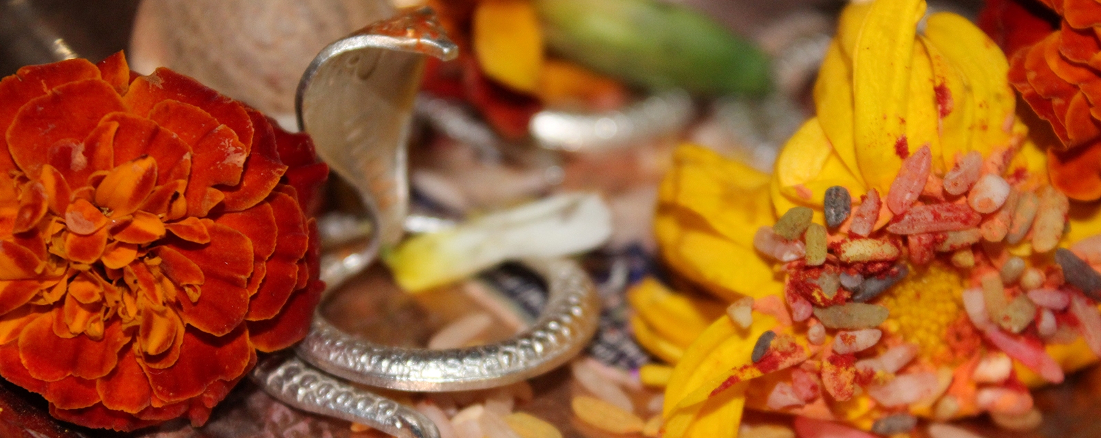 Narayan Nagbali Puja